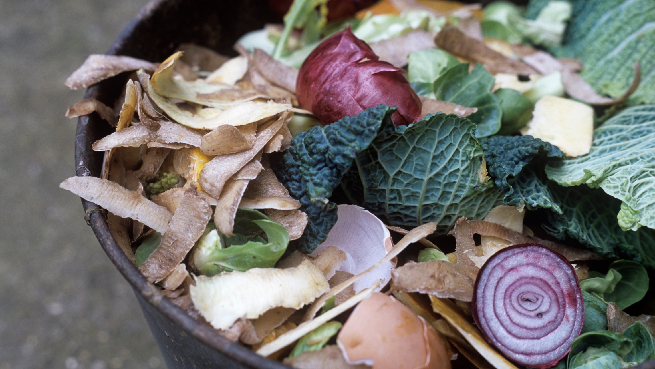 d1e00ek4ebabms.cloudfront.net image