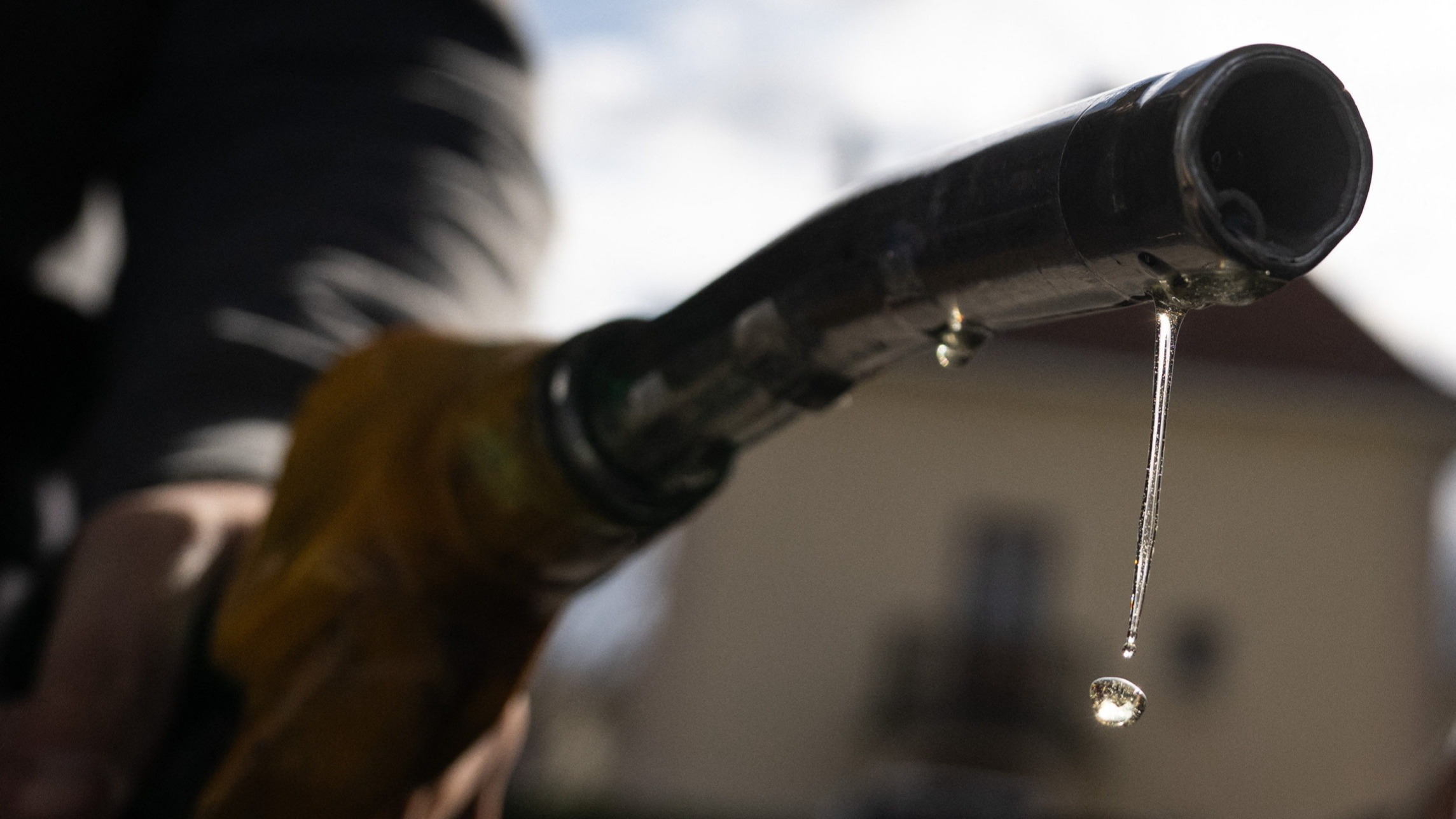 d1e00ek4ebabms.cloudfront.net image