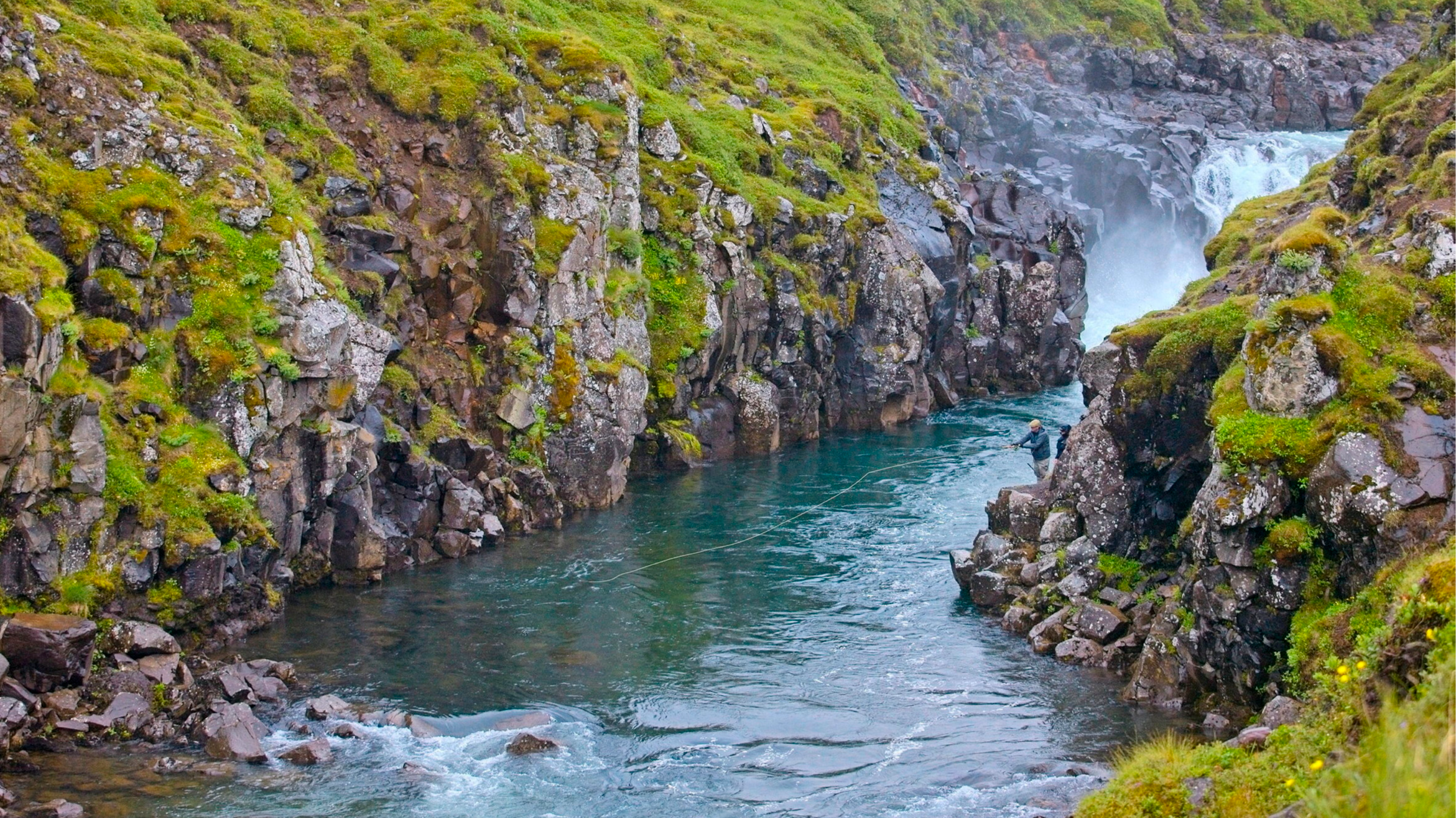 In the wilds of northern Iceland, Jim Ratcliffe is on a mission to save the Atlantic salmon