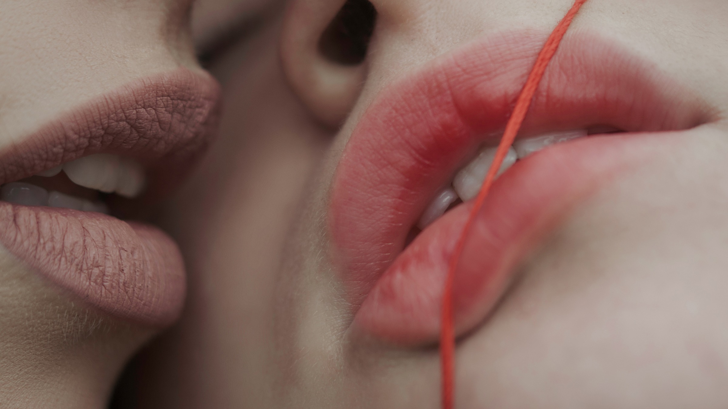 Lickerish – the sexiest library in town | Financial Times