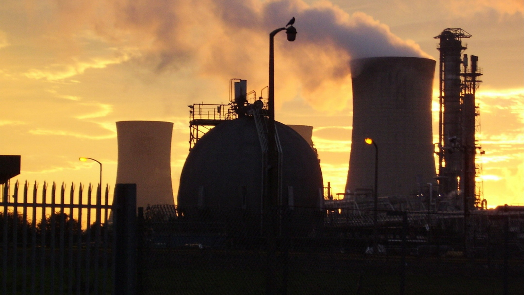 d1e00ek4ebabms.cloudfront.net image