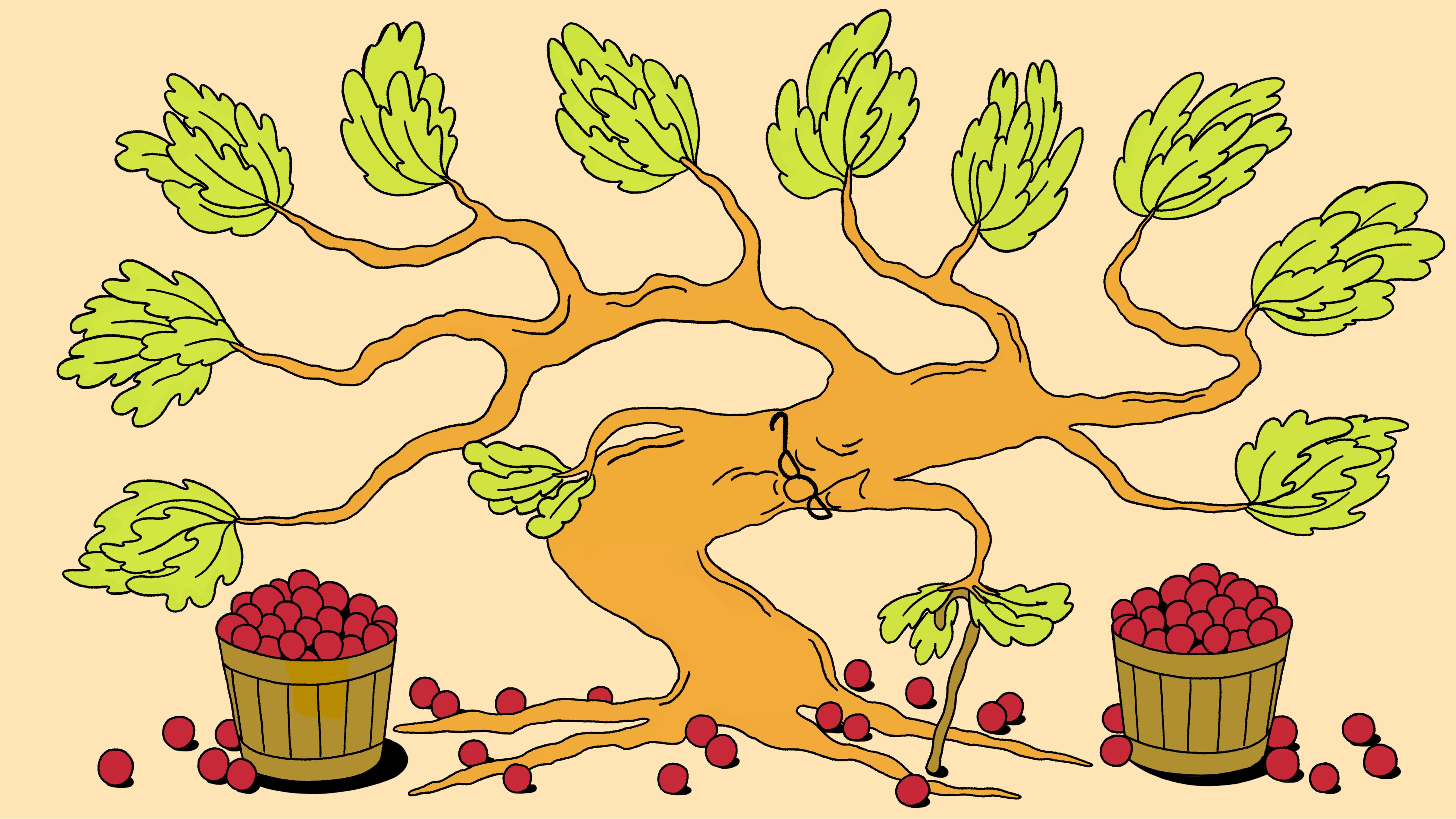 ft.com - Jancis Robinson - It's time for wine lovers to get over 'Zinfandel cringe'