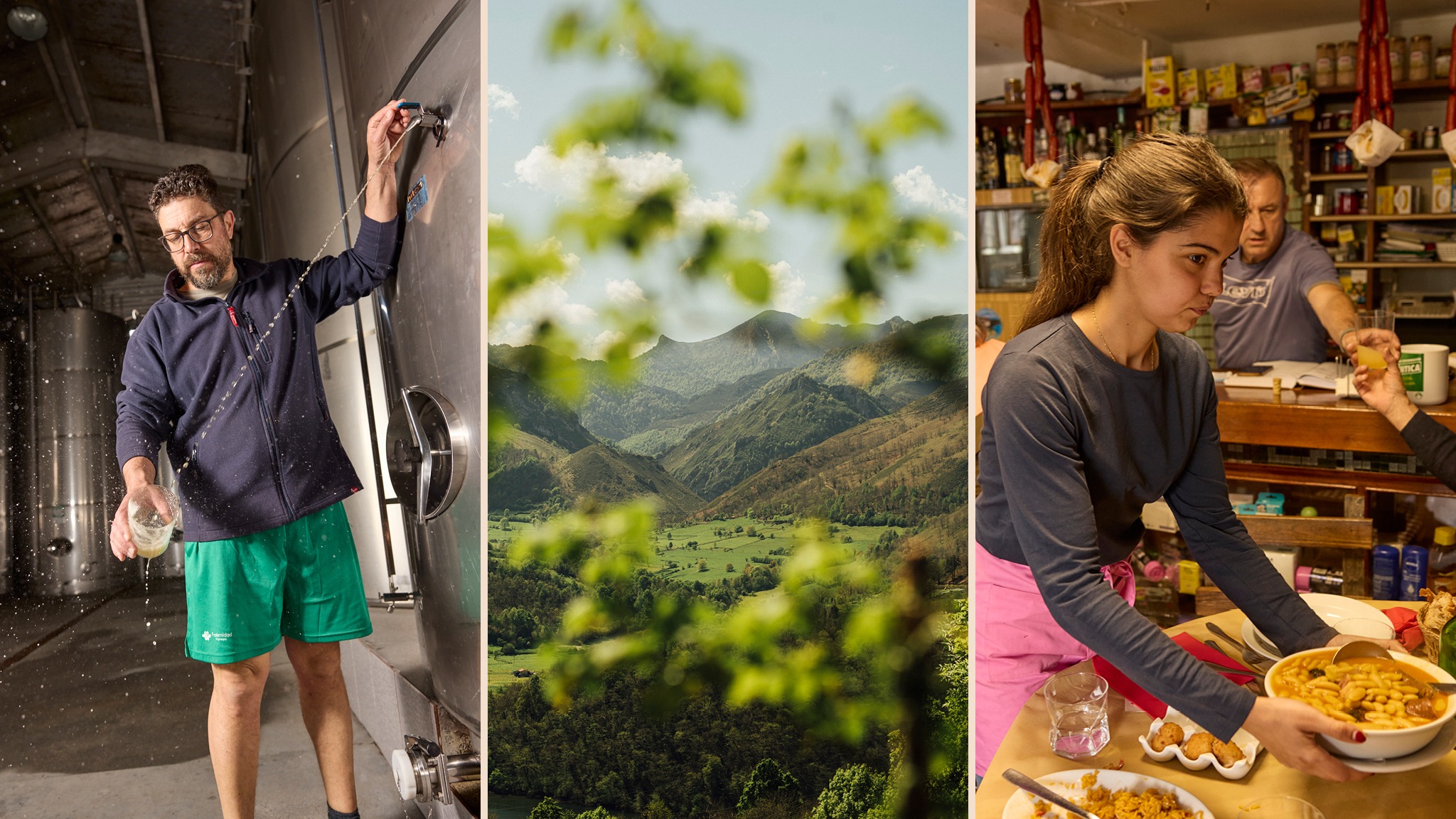 A deep dive into Asturian cider