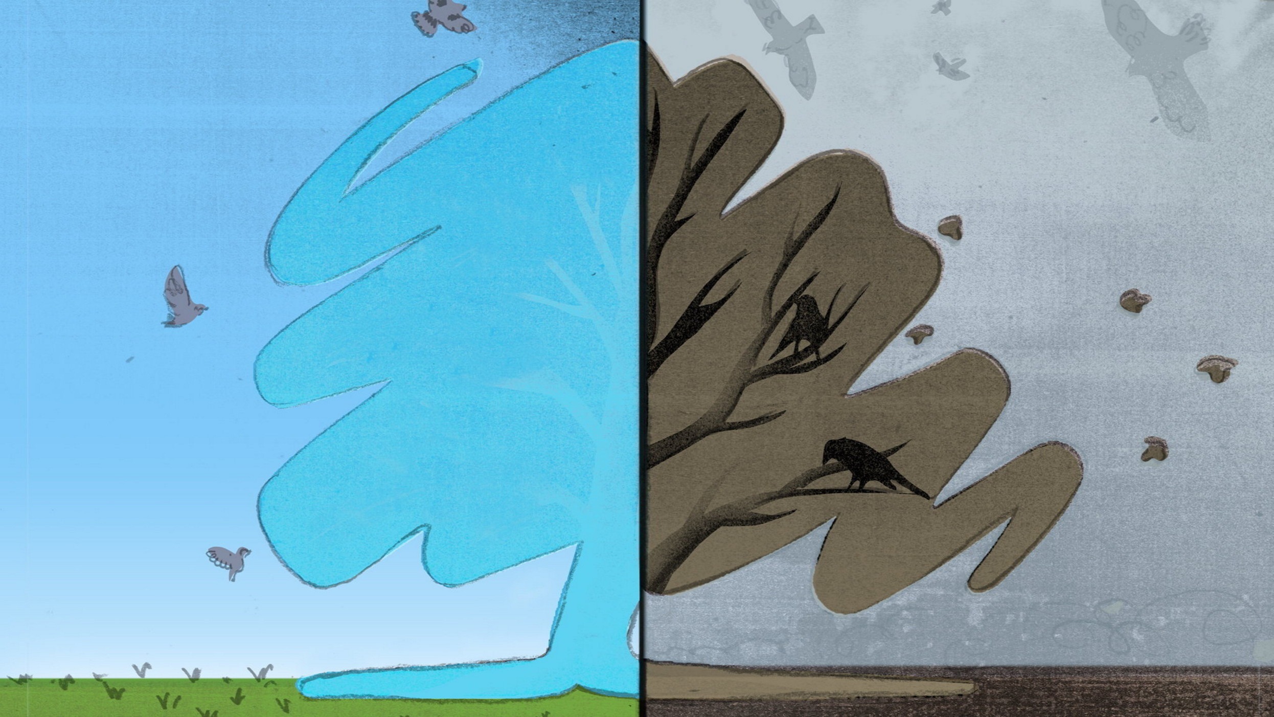 d1e00ek4ebabms.cloudfront.net image