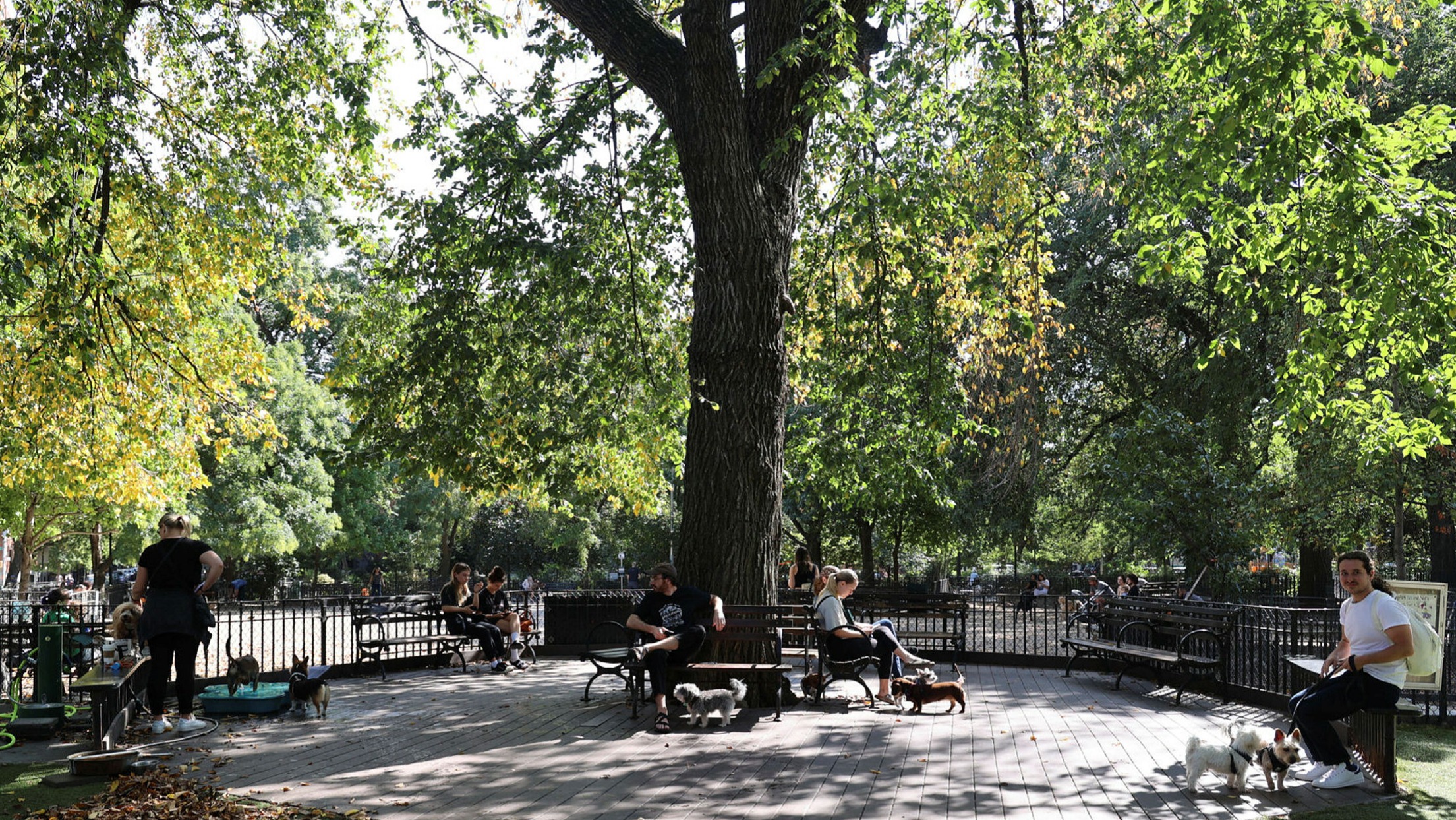 Tompkins Square Park 