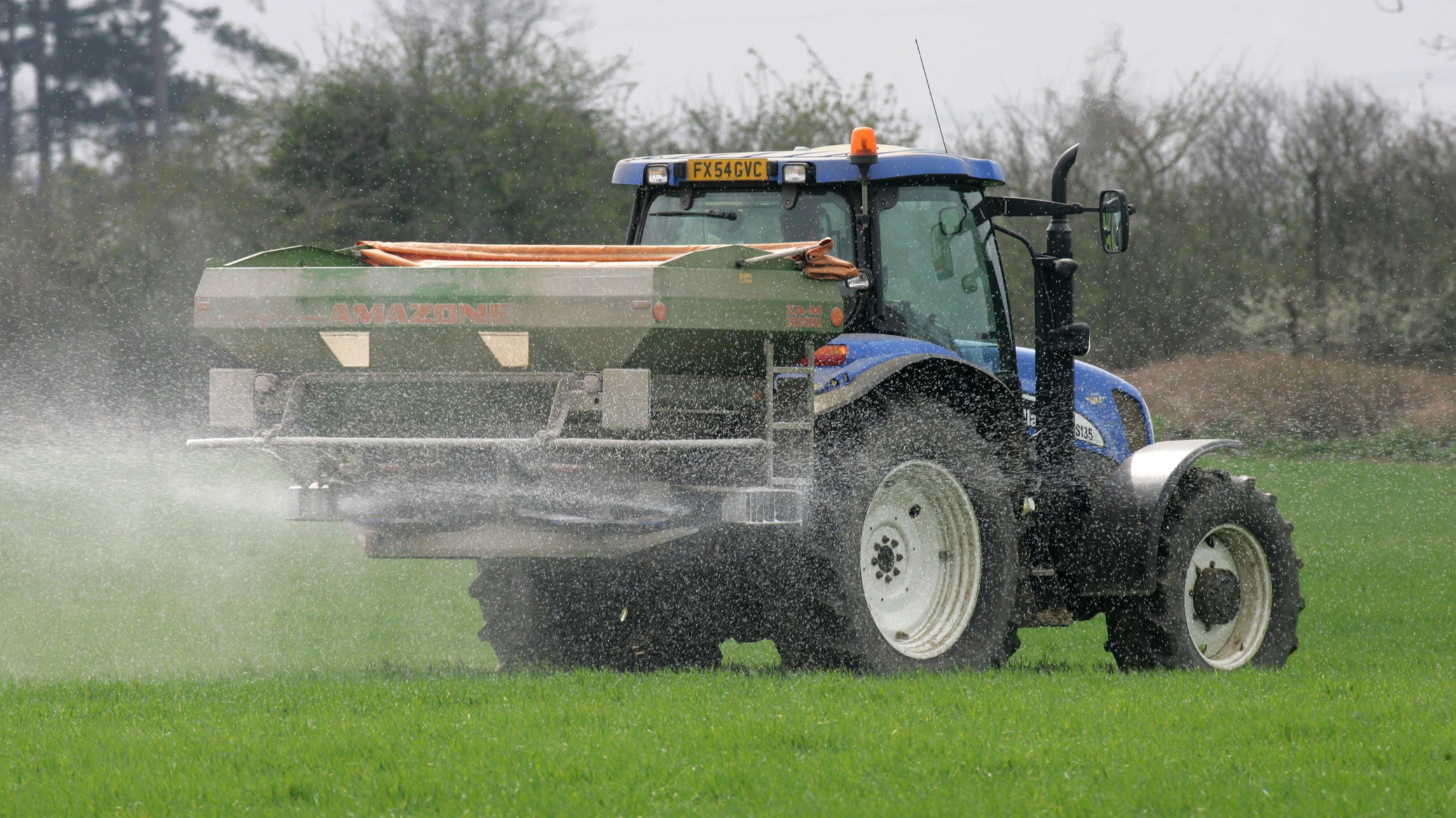 d1e00ek4ebabms.cloudfront.net image