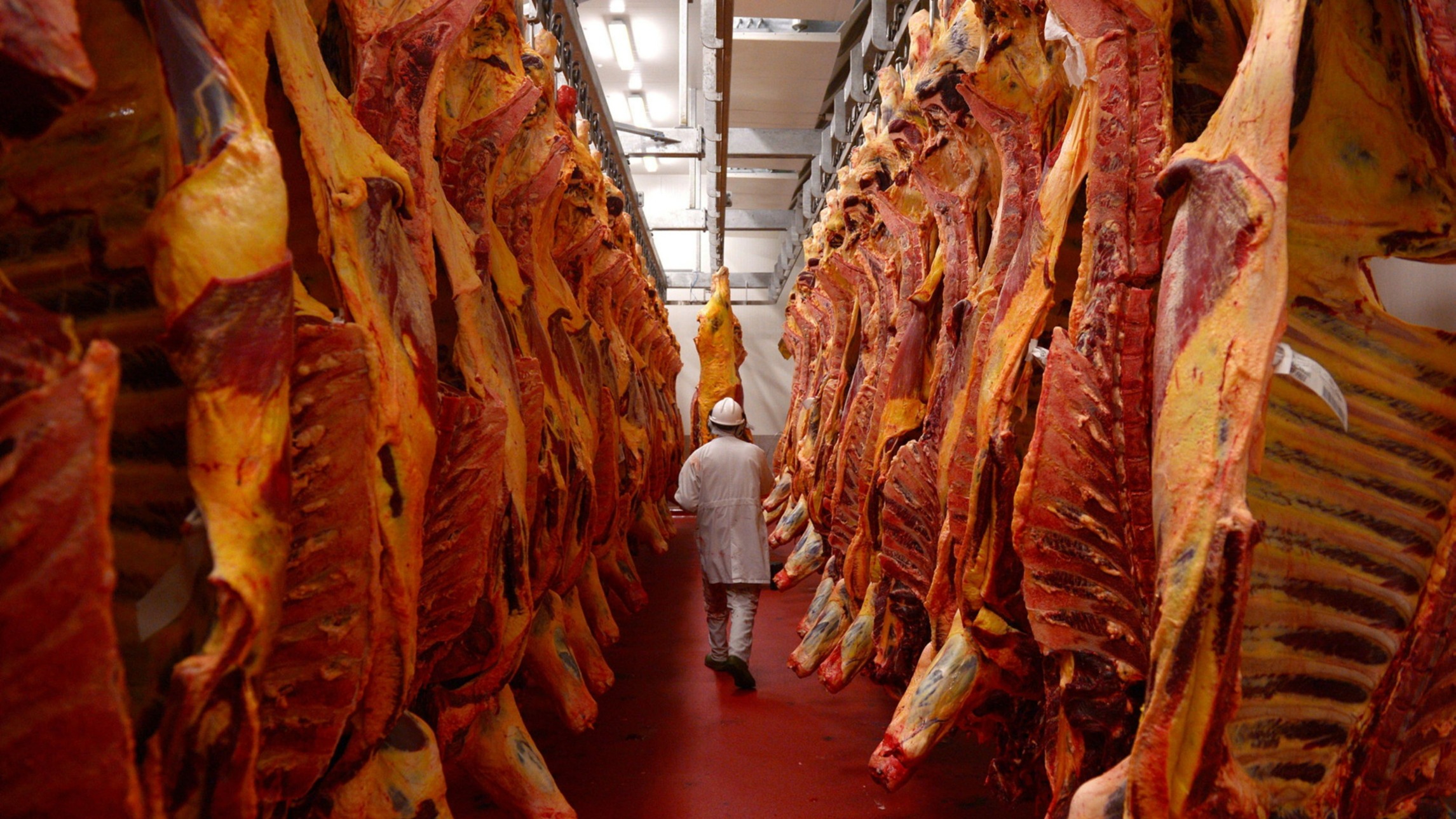 d1e00ek4ebabms.cloudfront.net image