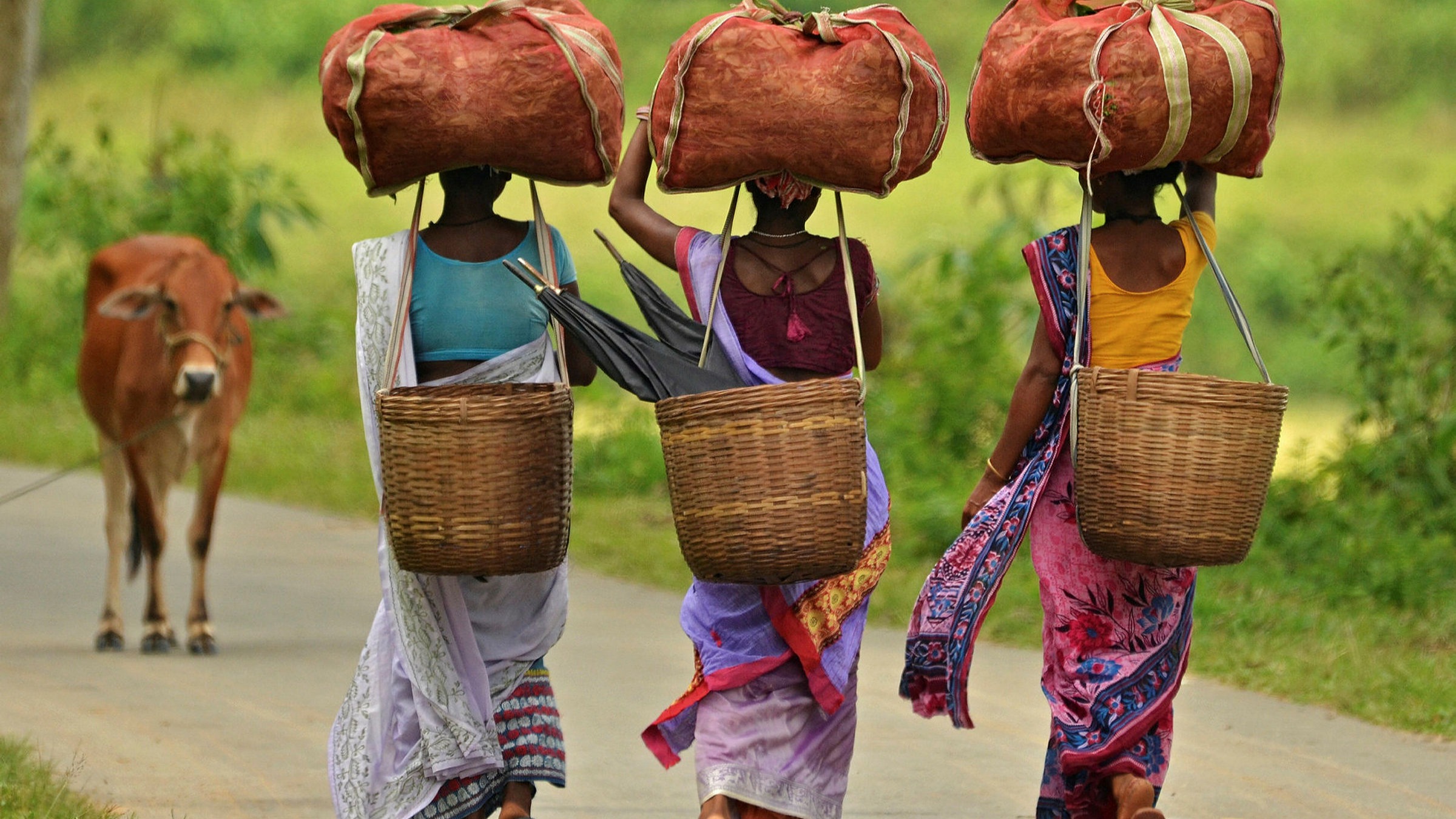The hidden threat and drought combine to jeopardize India's tea harvest - Vimarsana News