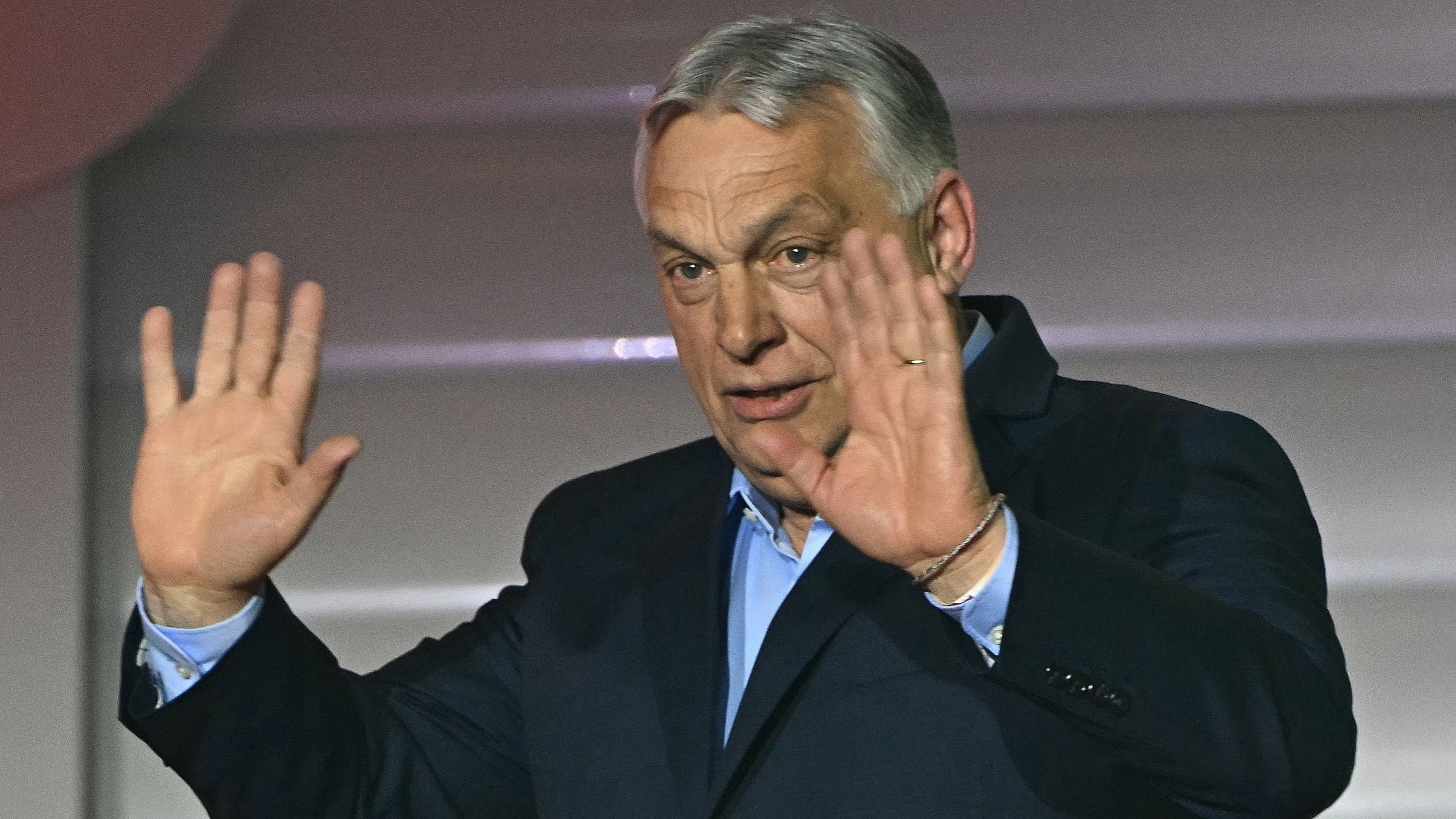 Hungarian nepo-stocks: where are they now?