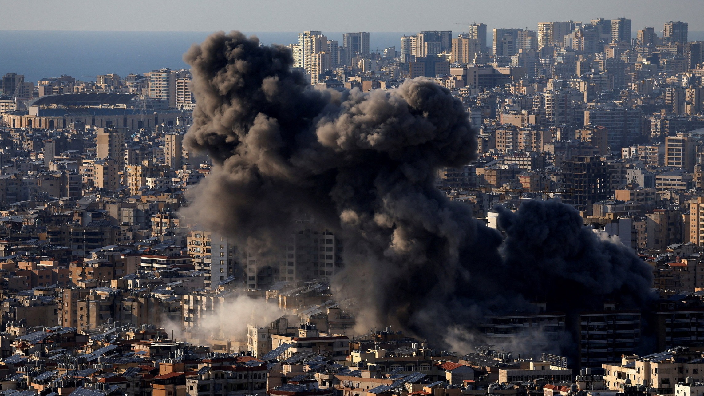 d1e00ek4ebabms.cloudfront.net image