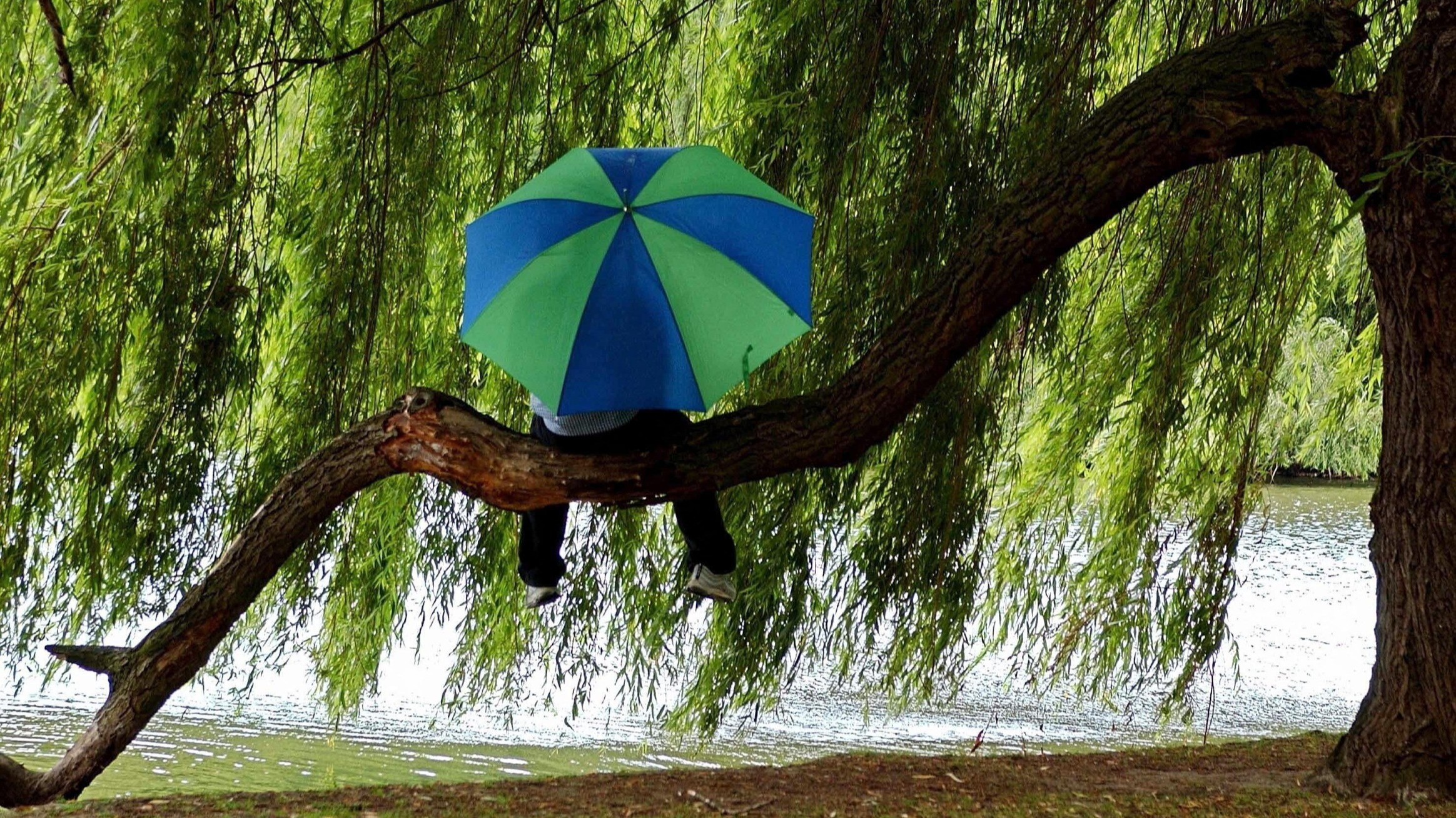 d1e00ek4ebabms.cloudfront.net image