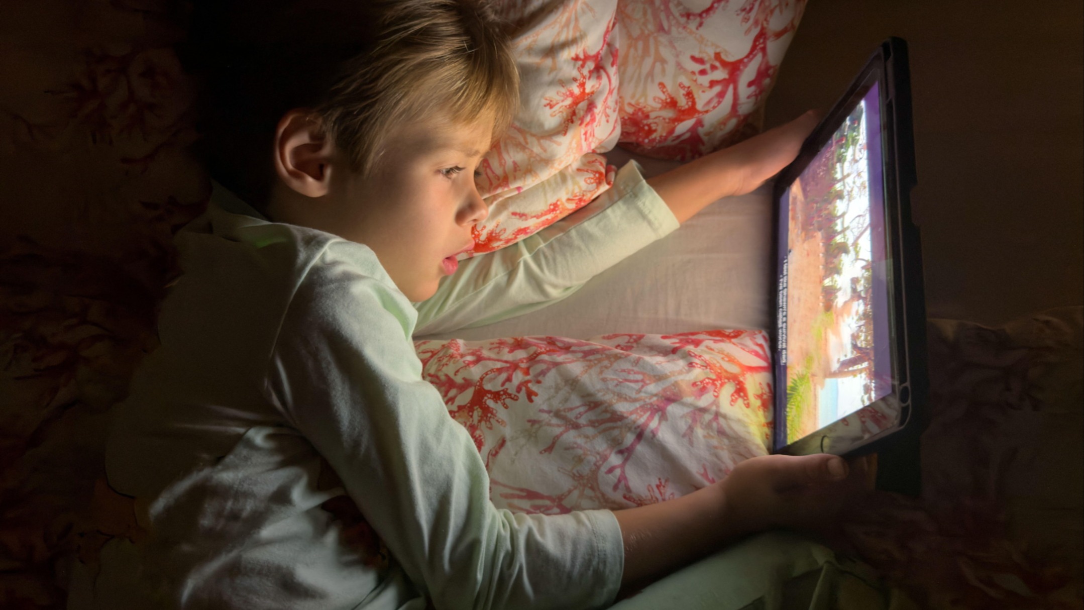 d1e00ek4ebabms.cloudfront.net image