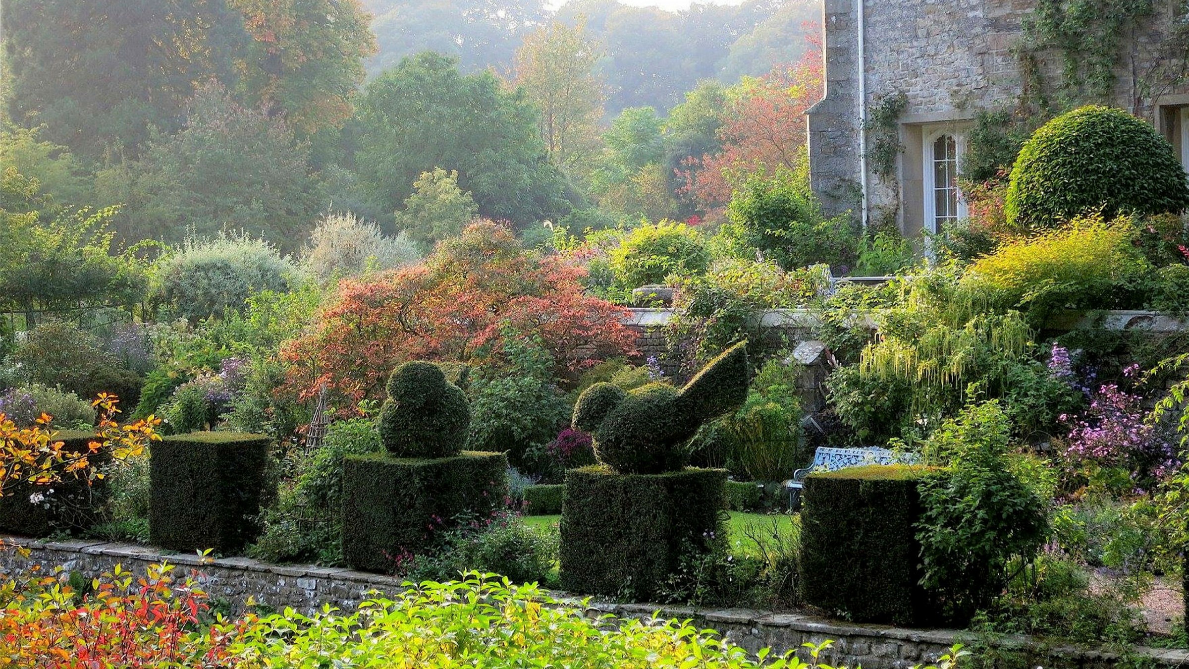 Small Tree With Purple Flowers Daily Themed Crossword Nutmeg Spice 