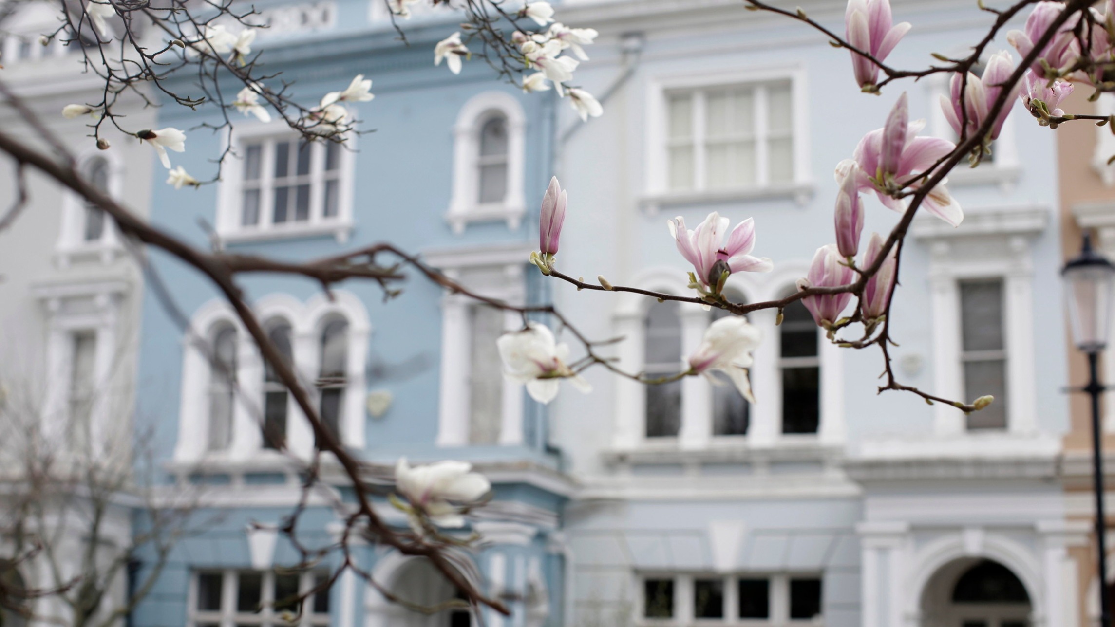 d1e00ek4ebabms.cloudfront.net image