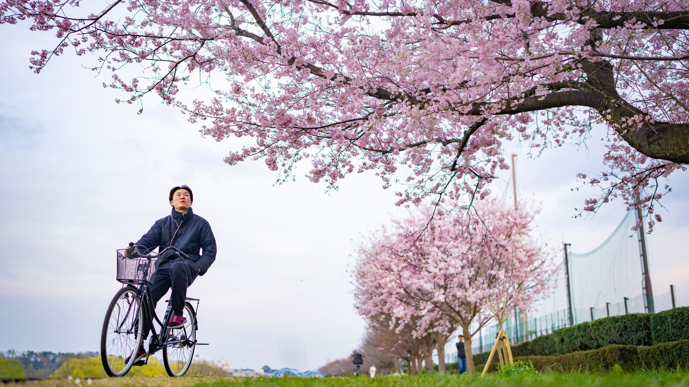 d1e00ek4ebabms.cloudfront.net image