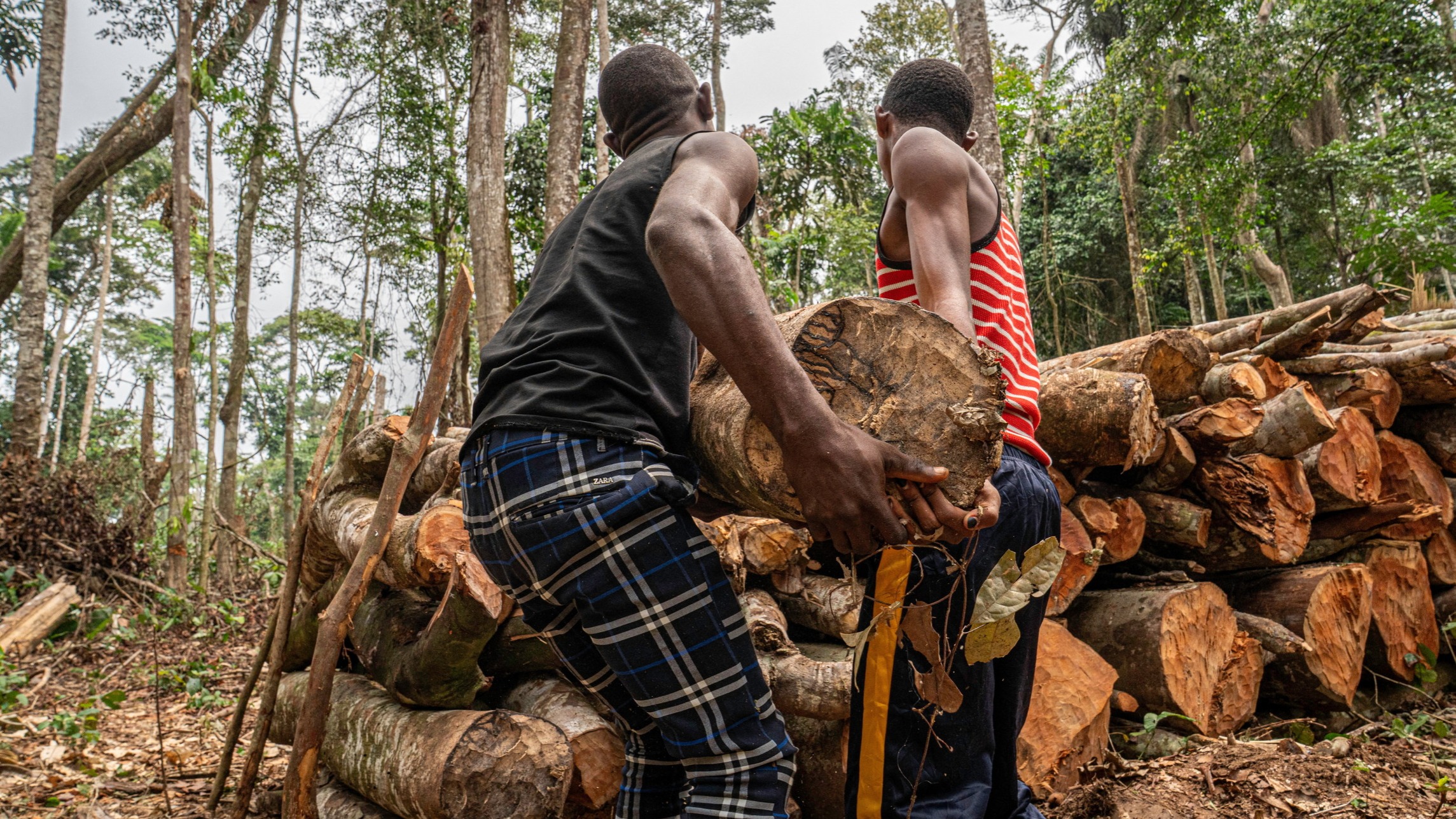 d1e00ek4ebabms.cloudfront.net image