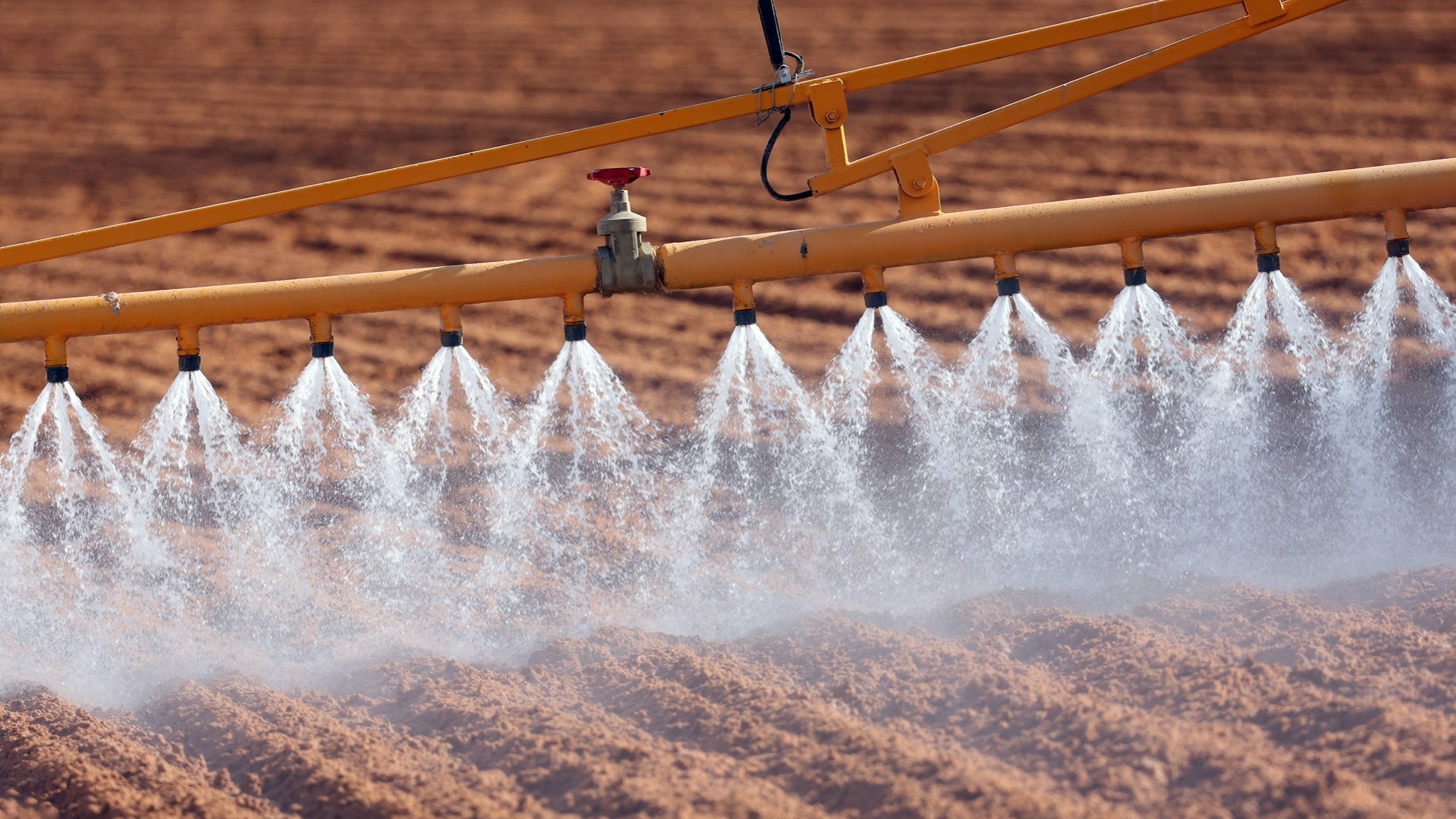 ft.com - Susannah Savage - Fertiliser disruption from Iran conflict prompts global food shortage warnings