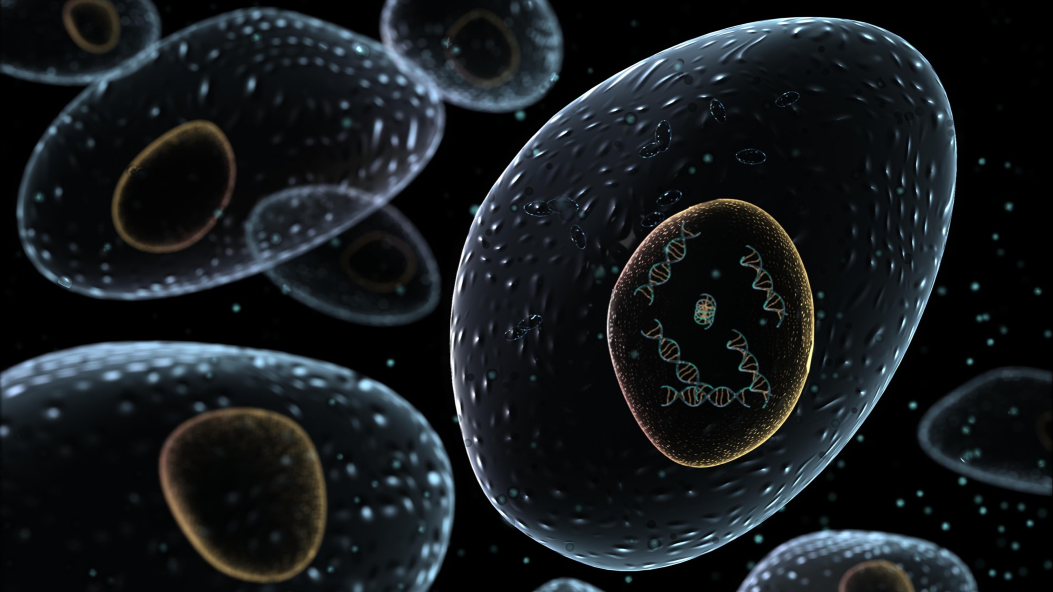 The Song of the Cell by Siddhartha Mukherjee — what makes our ...