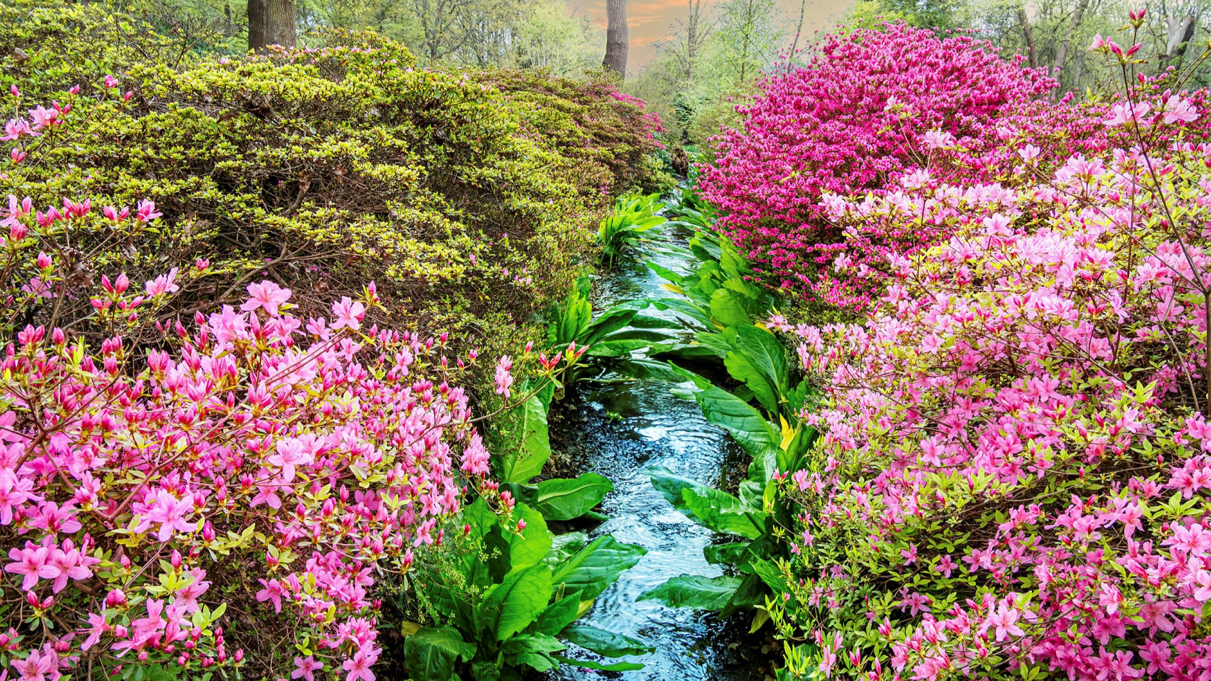 Six of London's loveliest spring gardens   Financial Times