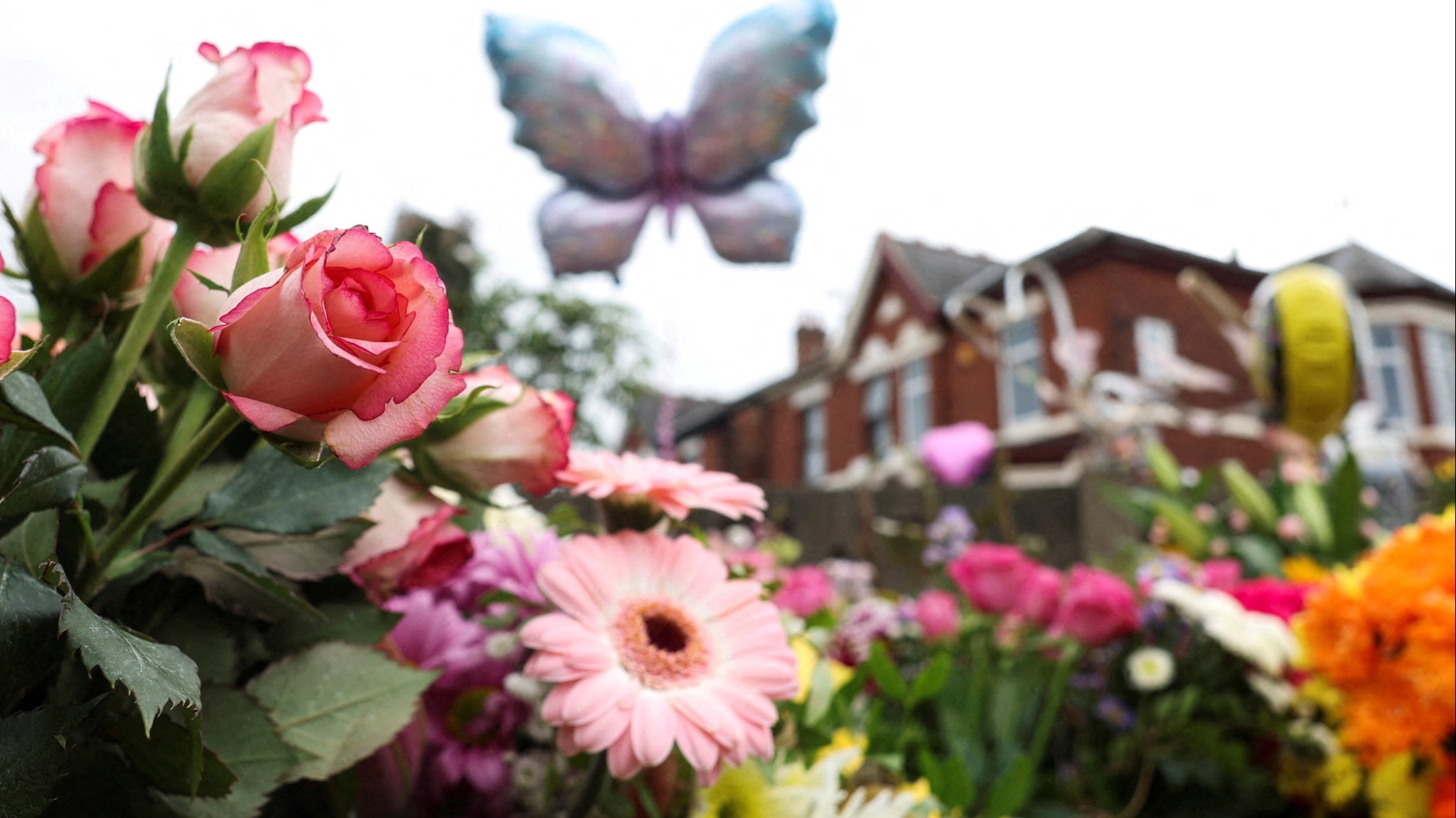 南港凶杀案调查揭示的残酷真相