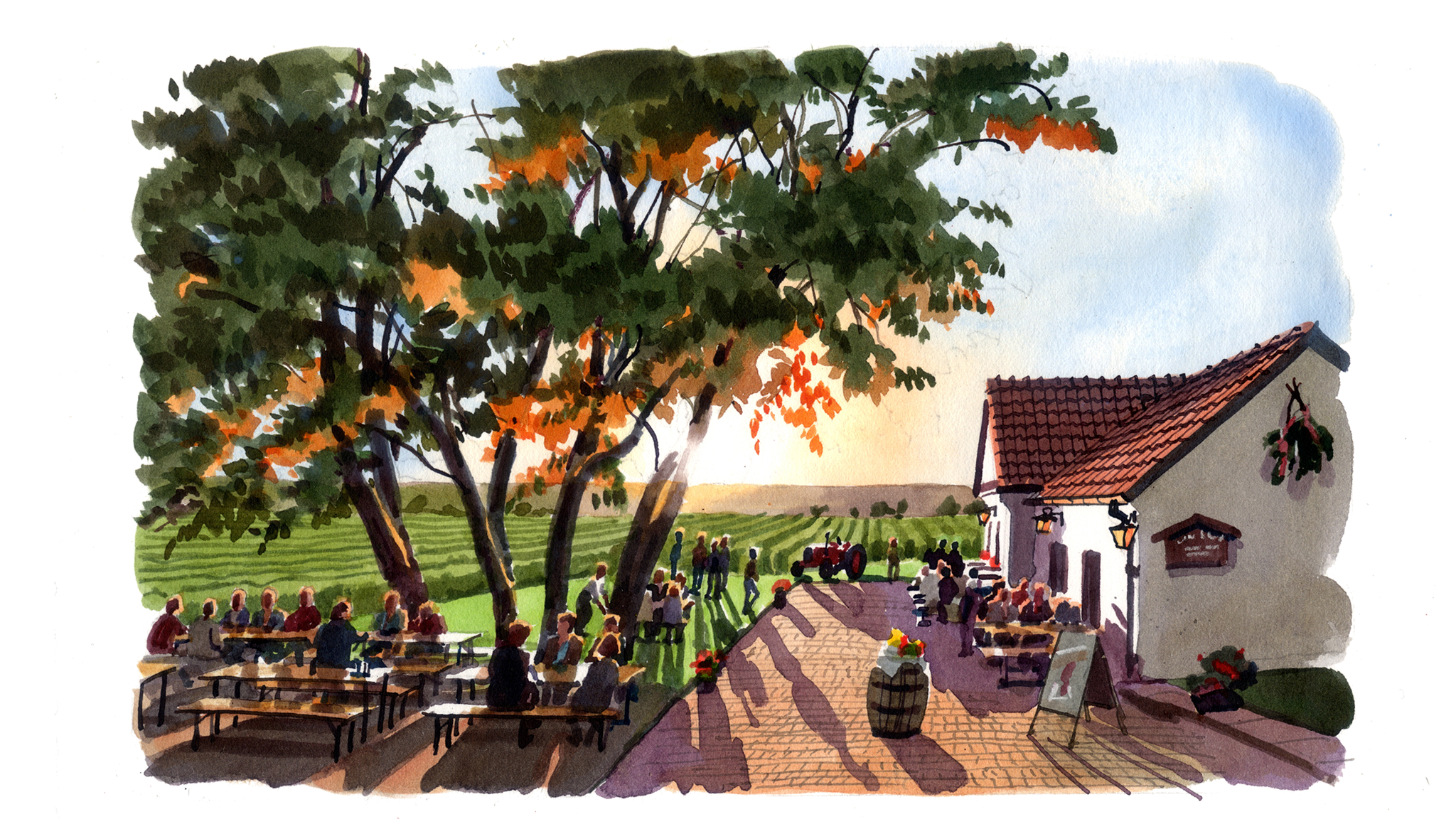 ft.com - Andrew Eames - Postcard from Austria: first of the summer wine