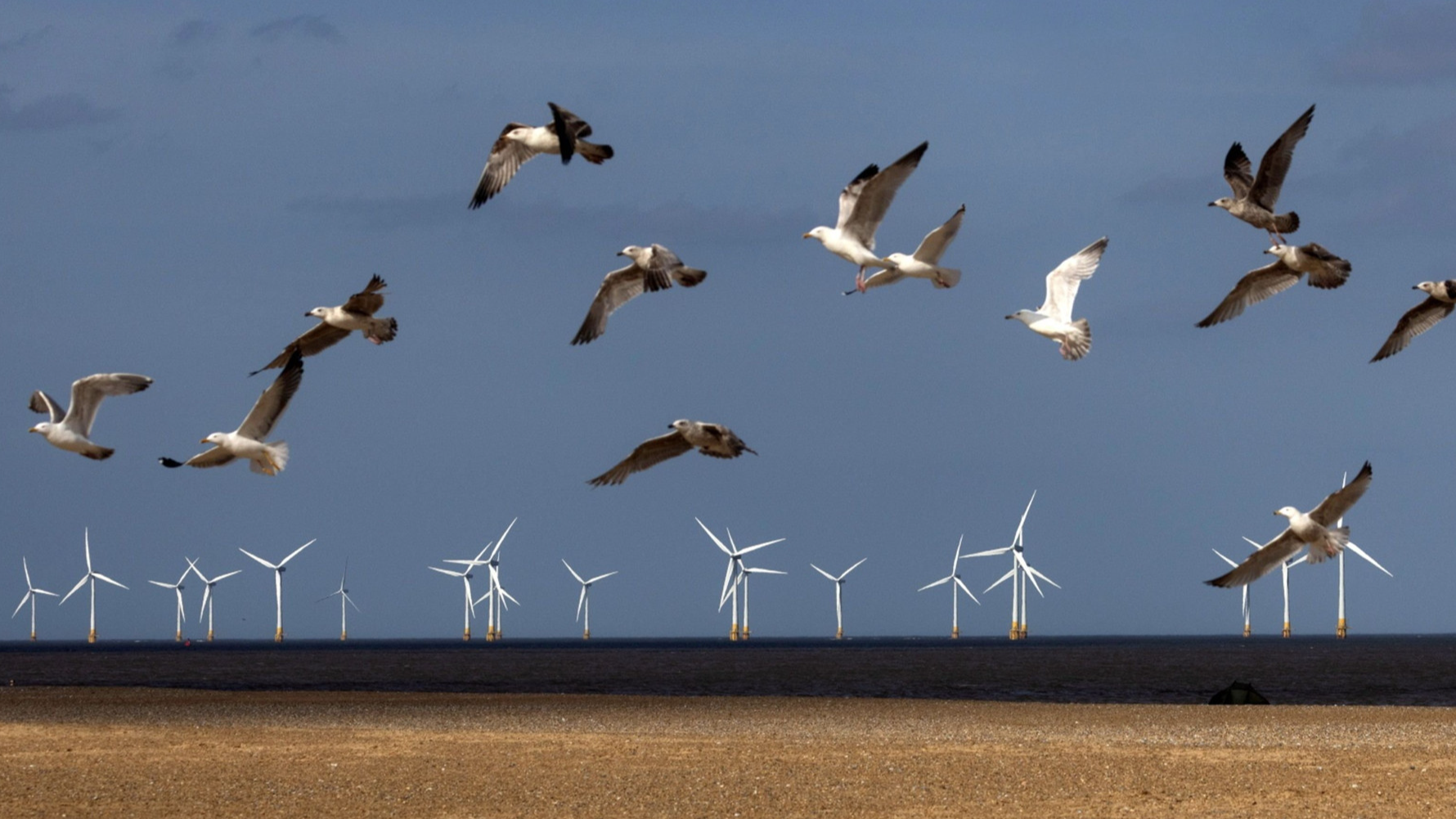 UK looks to cap renewable electricity generator revenues