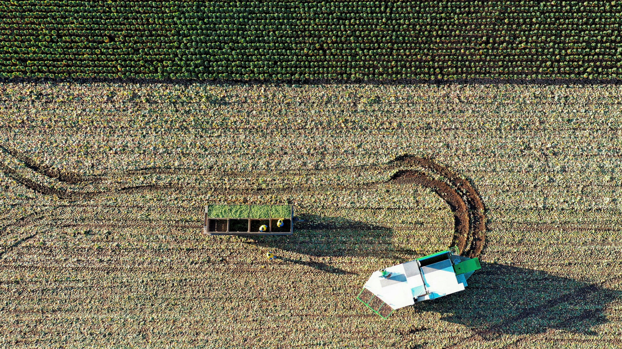 ft.com - John Cherry - A chance for British farming to break a vicious cycle