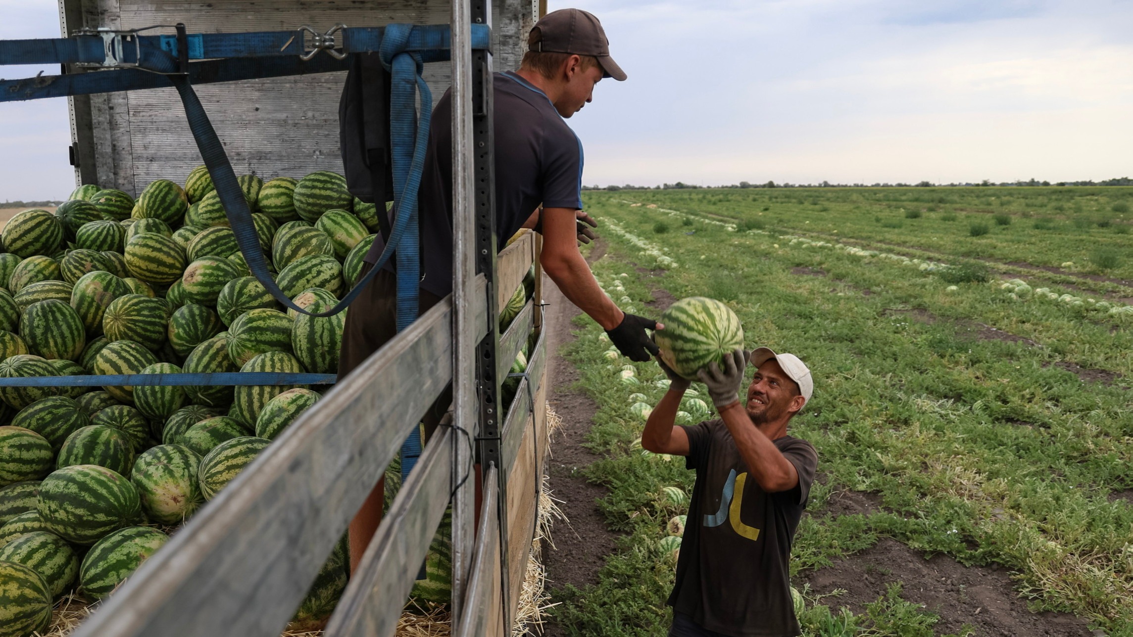 d1e00ek4ebabms.cloudfront.net image