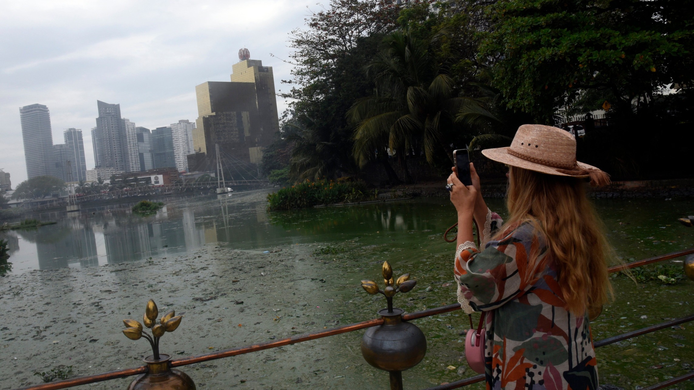 d1e00ek4ebabms.cloudfront.net image