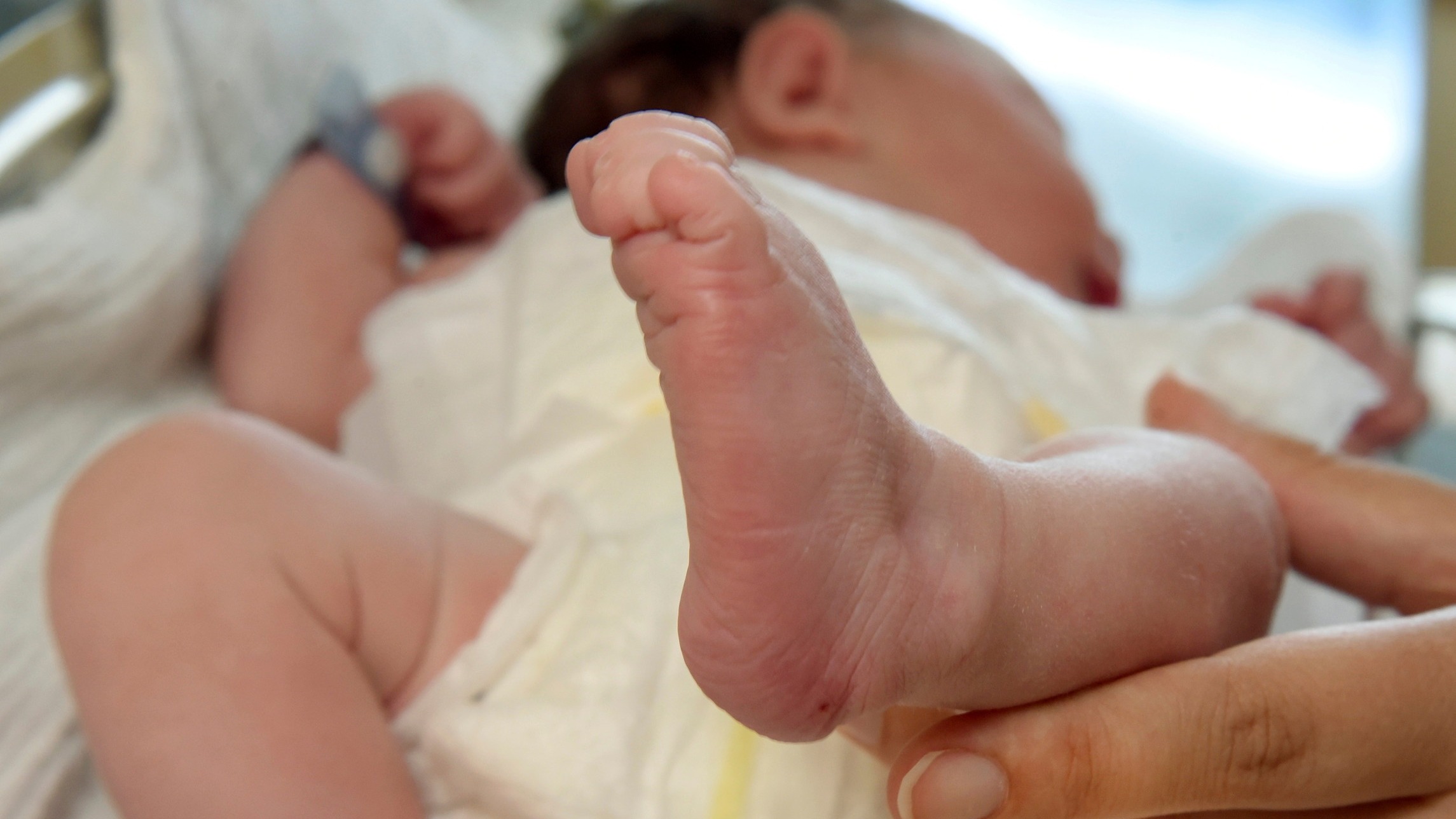 d1e00ek4ebabms.cloudfront.net image